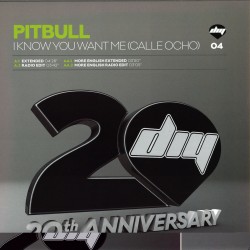 Pitbull - I Know You Want...