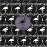 Various Artists - Tropical Disco Records, Vol. 9