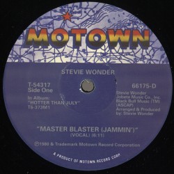 Stevie Wonder - Master...