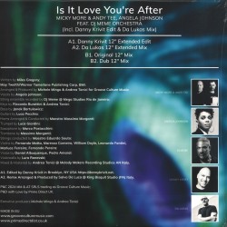 Micky More & Andy Tee Featuring Angela Johnson - Is It Love You're After