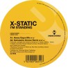 X-STATIC - I'M STANDING