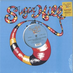 The Sugarhill Gang - Rapper's Delight (Greg Wilson & Ché Wilson Remix)
