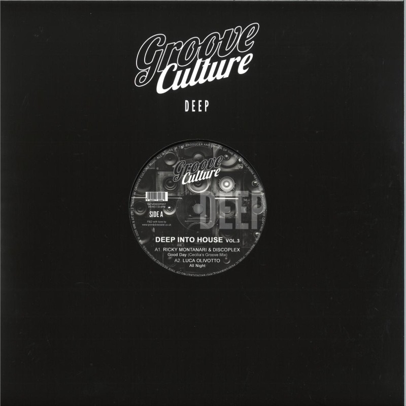 Ricky Montanari & Discoplex / Luca Olivotto / Gianni Bini - Deep Into House Vol.3