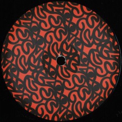 Groove P / The Shapeshifters / Lost In PAP Wax 01