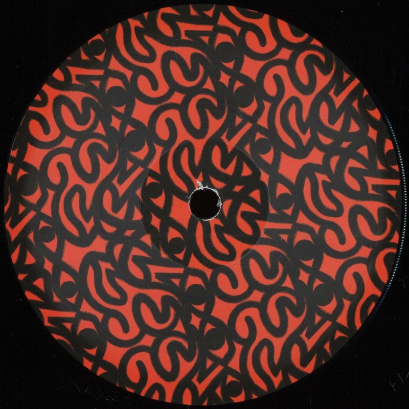 Groove P / The Shapeshifters / Lost In PAP Wax 01