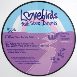 Lovebirds Feat. Stee Downes  - Want You In My Soul ( Picture disc )