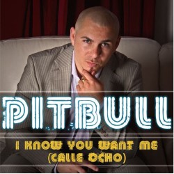 PITBULL - I KNOW YOU WANT ME (CALLE OCHO) Black vinyl