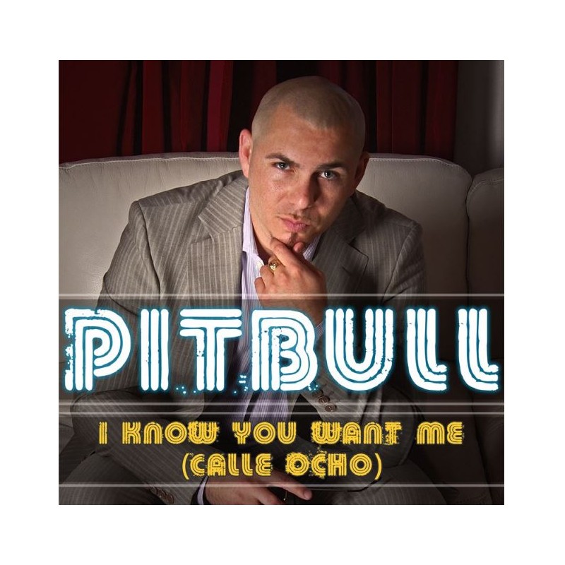 PITBULL - I KNOW YOU WANT ME (CALLE OCHO) Black vinyl