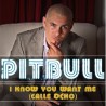 PITBULL - I KNOW YOU WANT ME (CALLE OCHO) Black vinyl