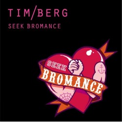 TIM BERG - SEEK BROMANCE