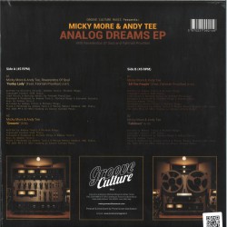 Micky More & Andy Tee  - Analog Dreams EP